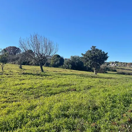 Trulli Del Sole