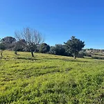 Trulli Del Sole