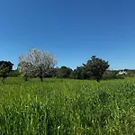 Tatil Evi Trulli Del Sole *