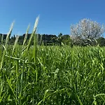 Trulli Del Sole マルティナ・フランカ