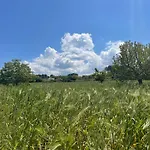 別荘 Trulli Del Sole マルティナ・フランカ