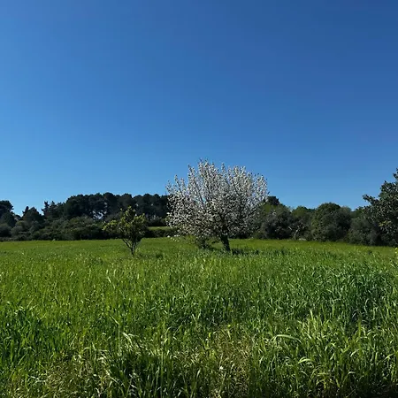 Trulli Del Sole بيت للعطل مارتينا فرانكا