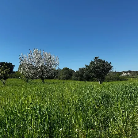 بيت للعطل Trulli Del Sole *