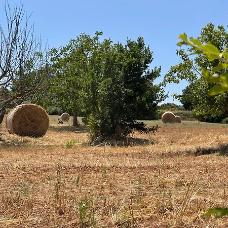 Trulli Del Sole Martina Franca