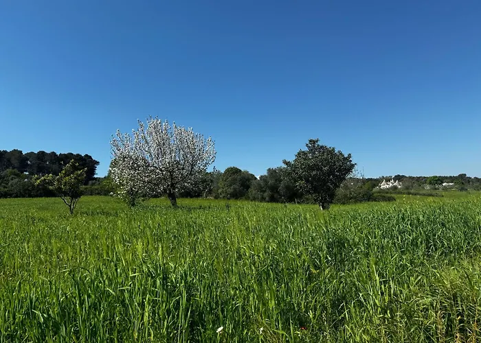 Feriehus Trulli Del Sole *